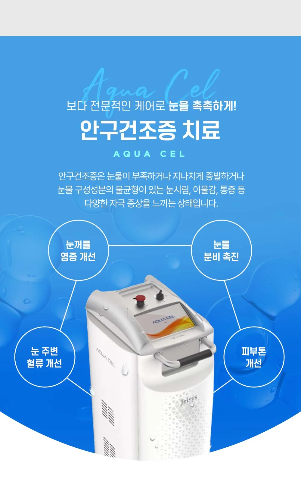 시술 상세 31