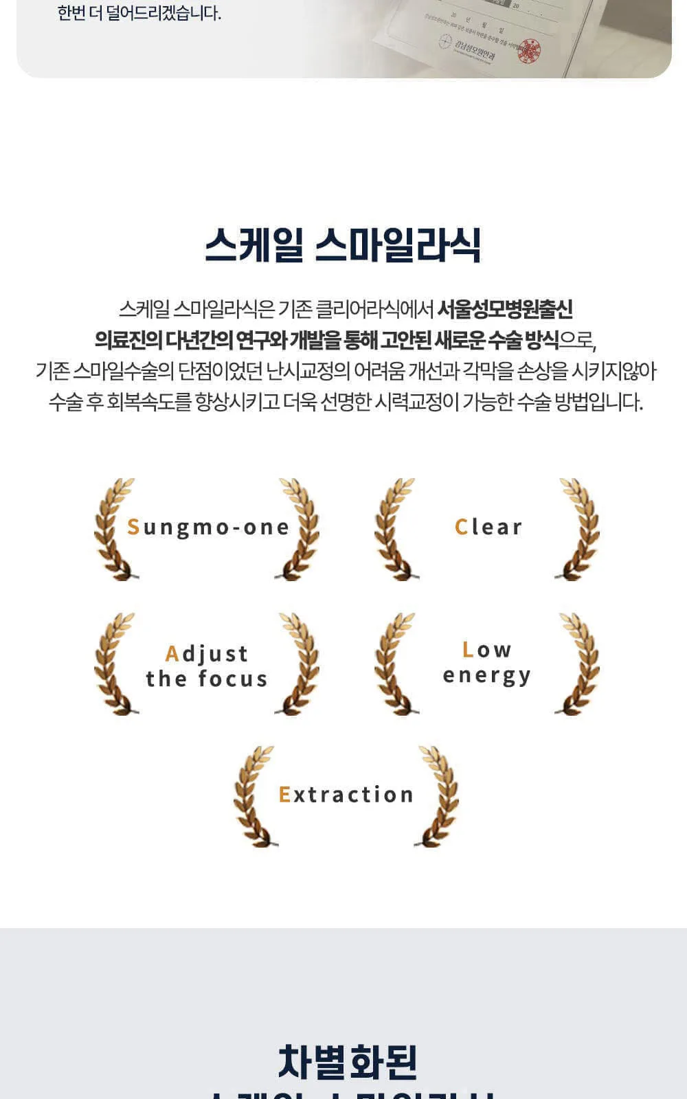 시술 상세 5