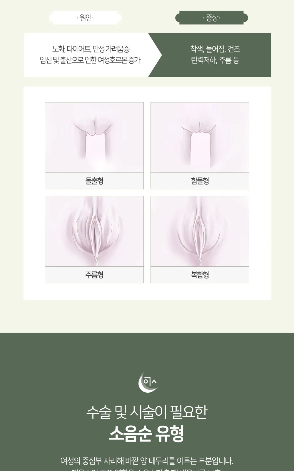 시술 상세 4