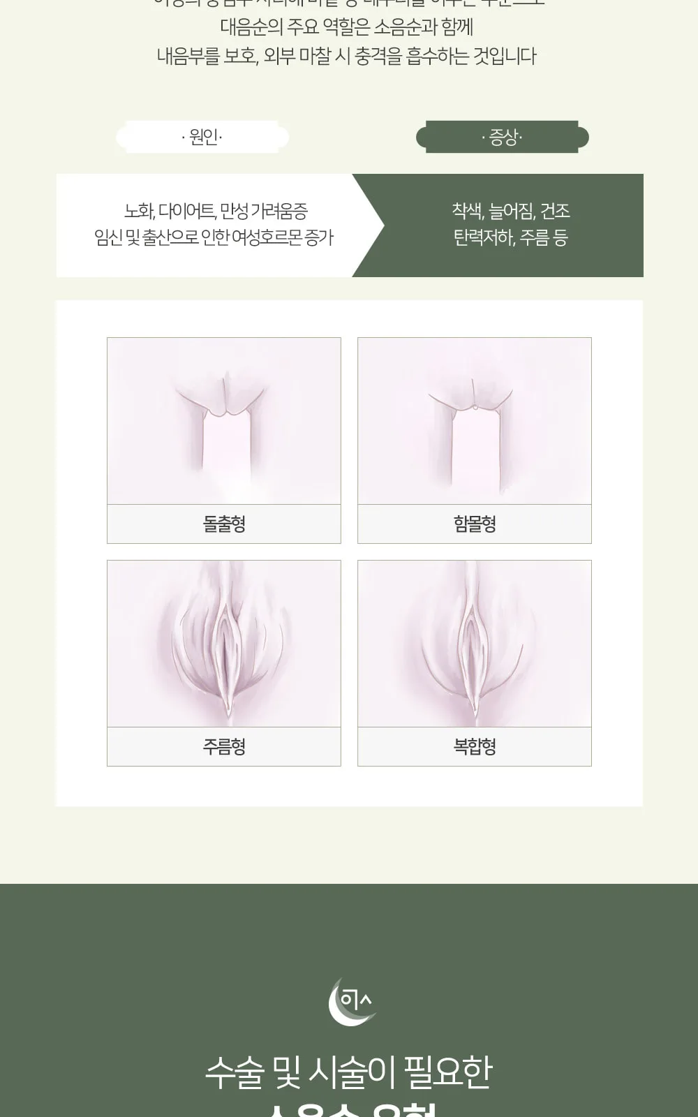 시술 상세 5