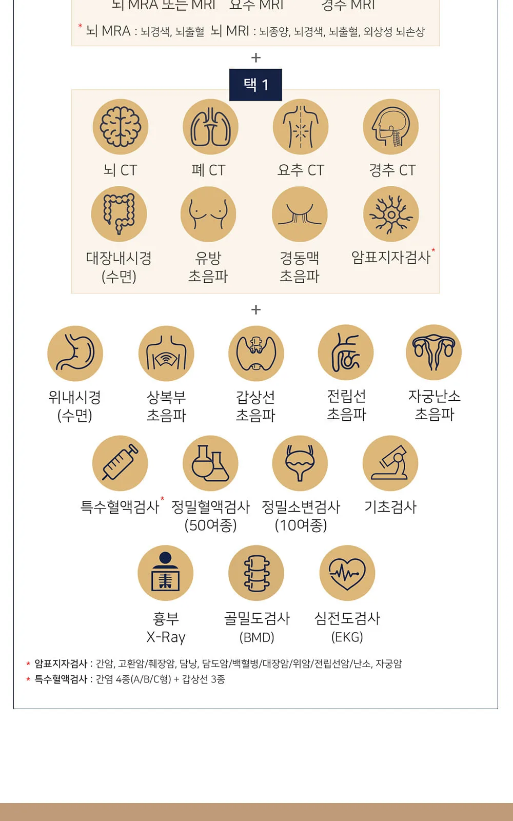 시술 상세 4