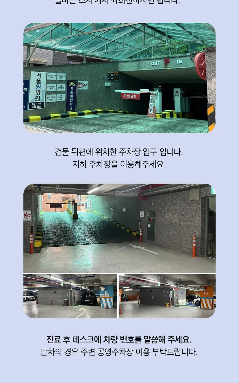 시술 상세 16