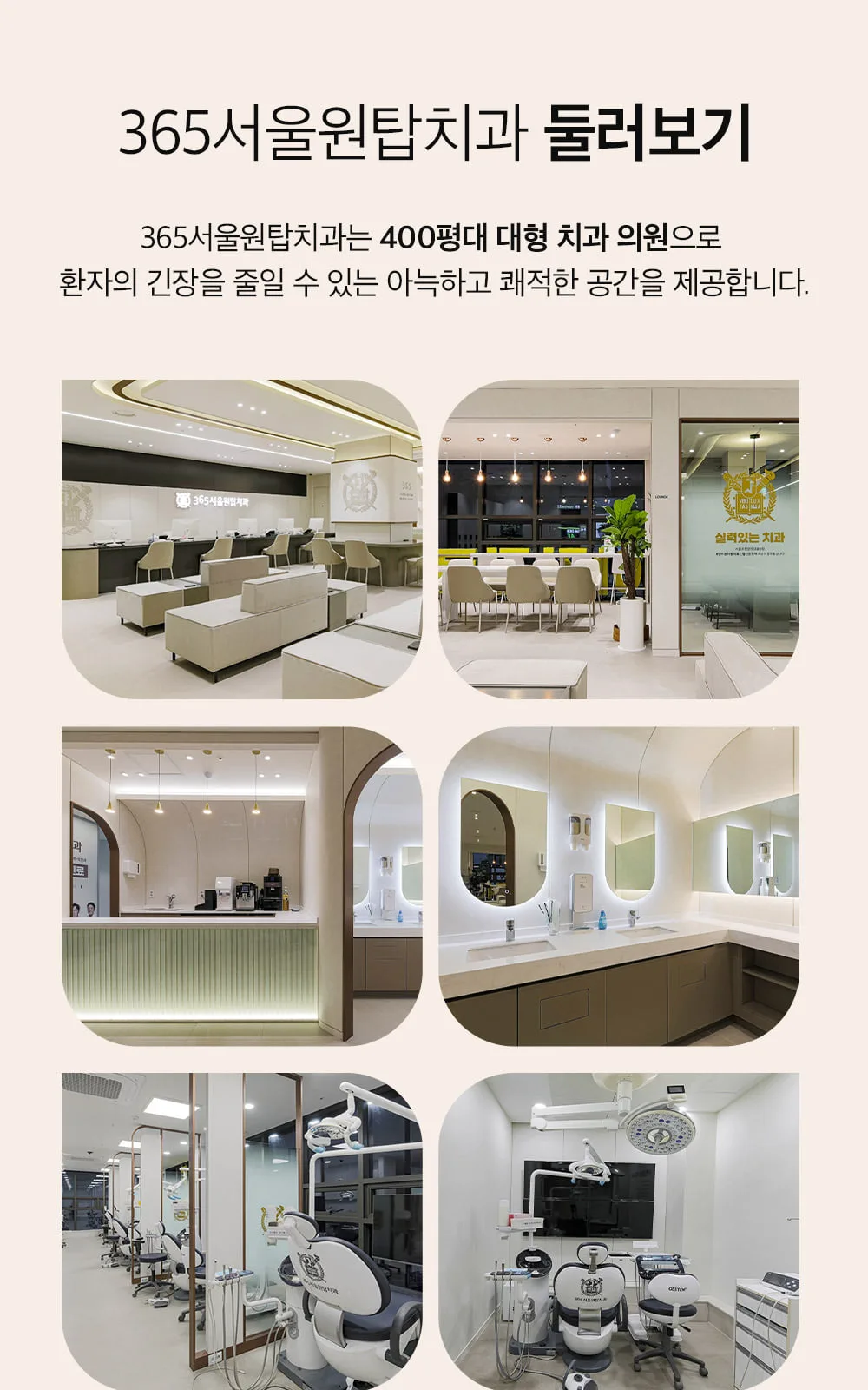 시술 상세 14