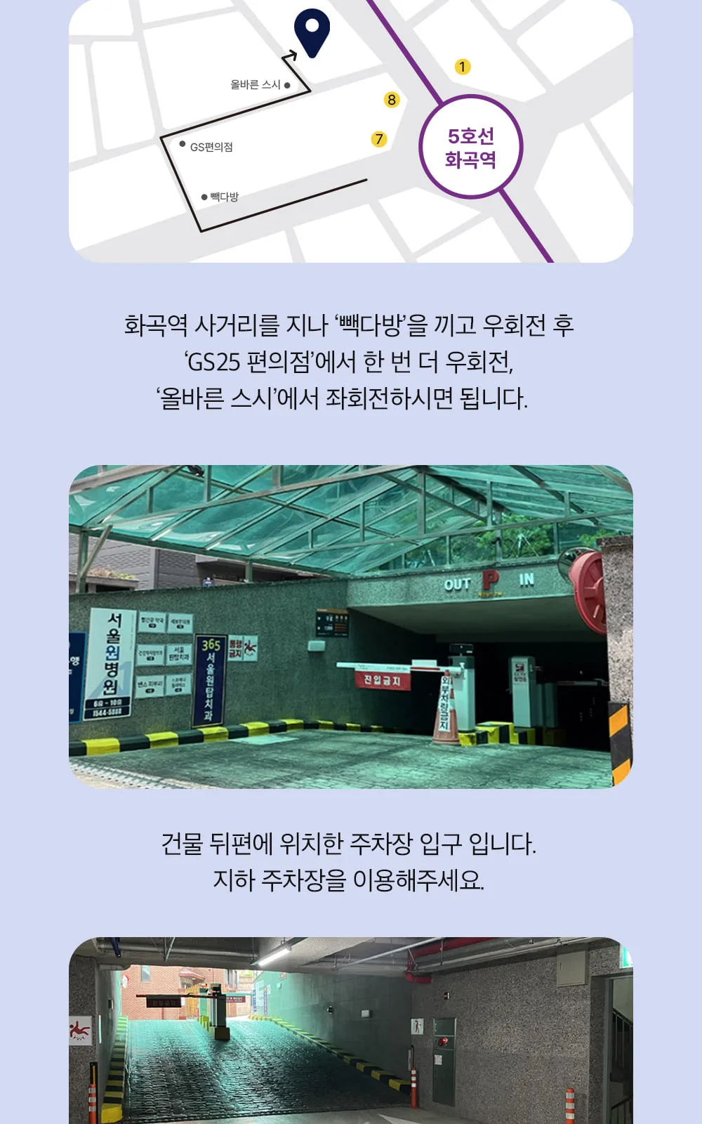 시술 상세 16