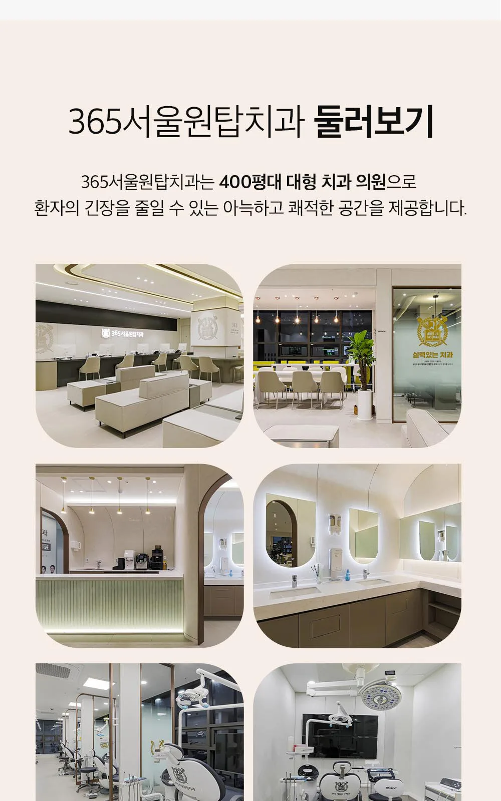 시술 상세 17