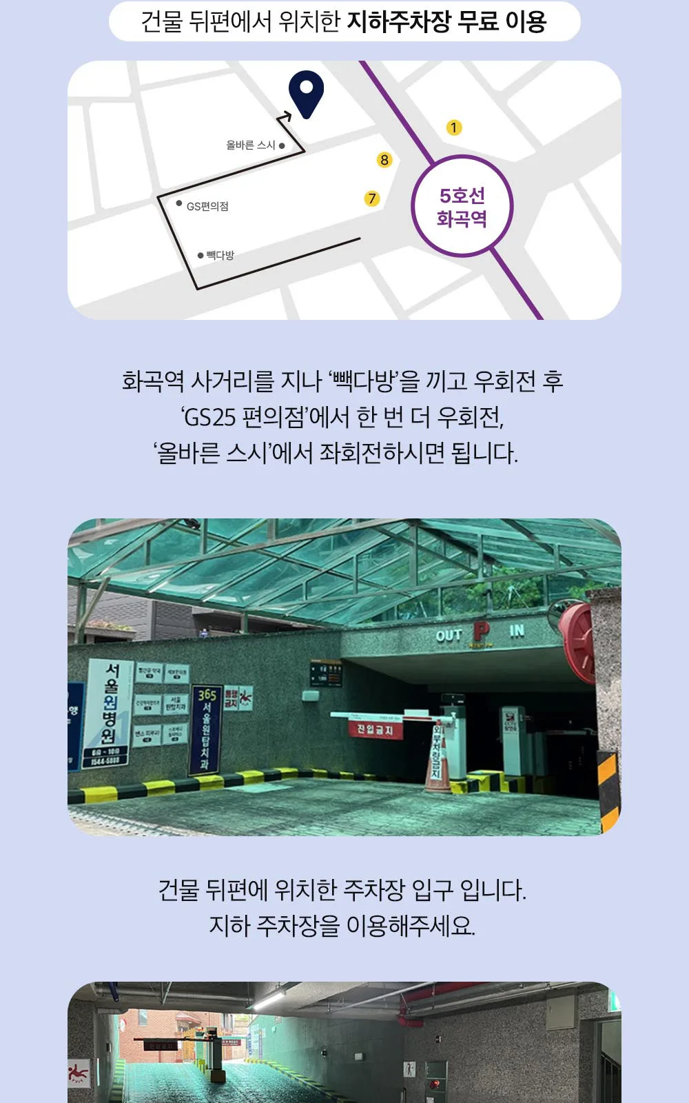 시술 상세 19