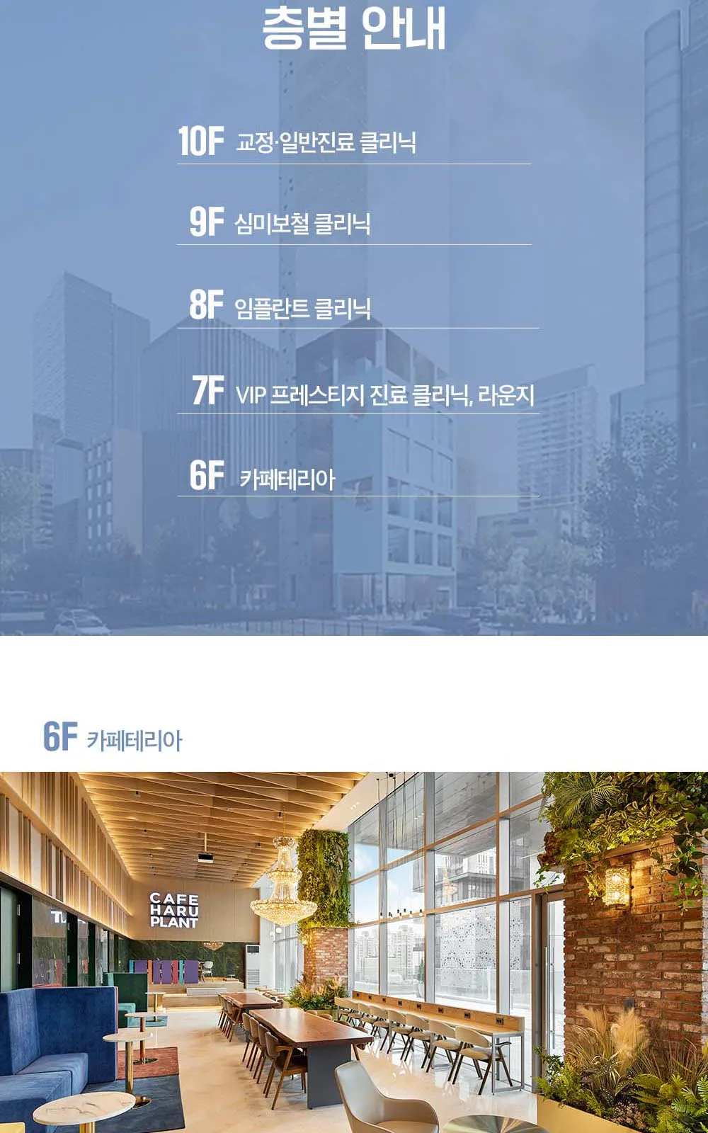 시술 상세 22