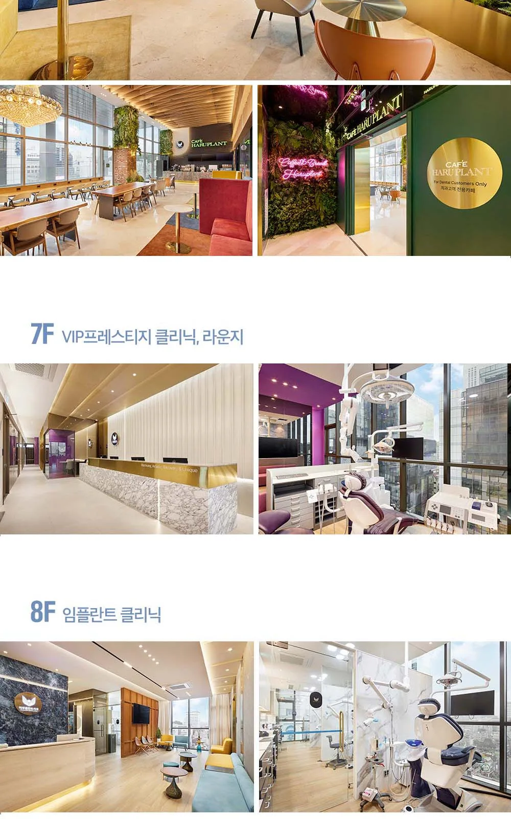 시술 상세 23