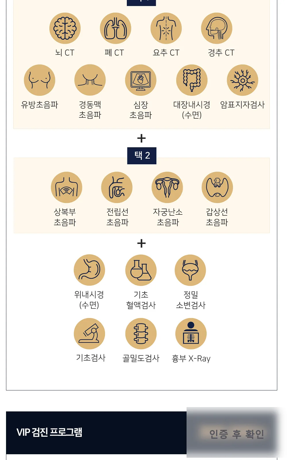 시술 상세 2