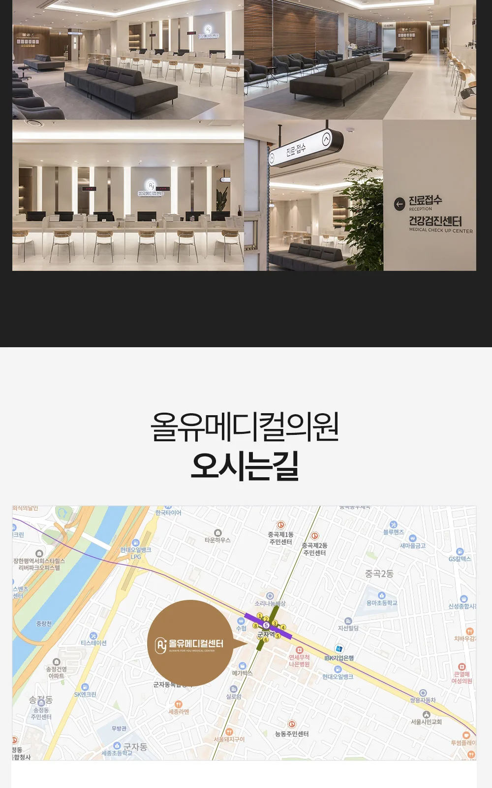 시술 상세 8