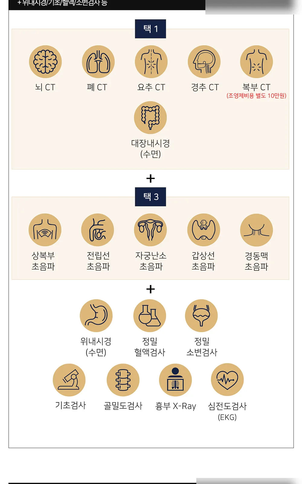 시술 상세 2