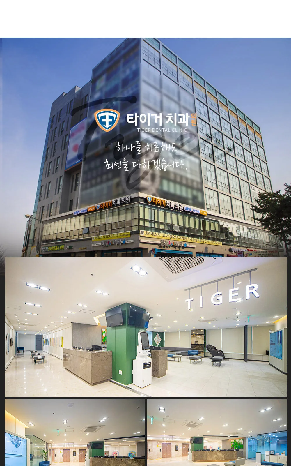 시술 상세 10