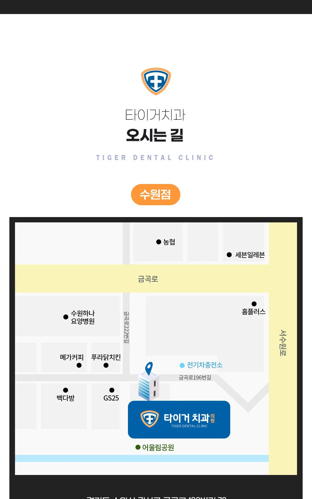 시술 상세 12