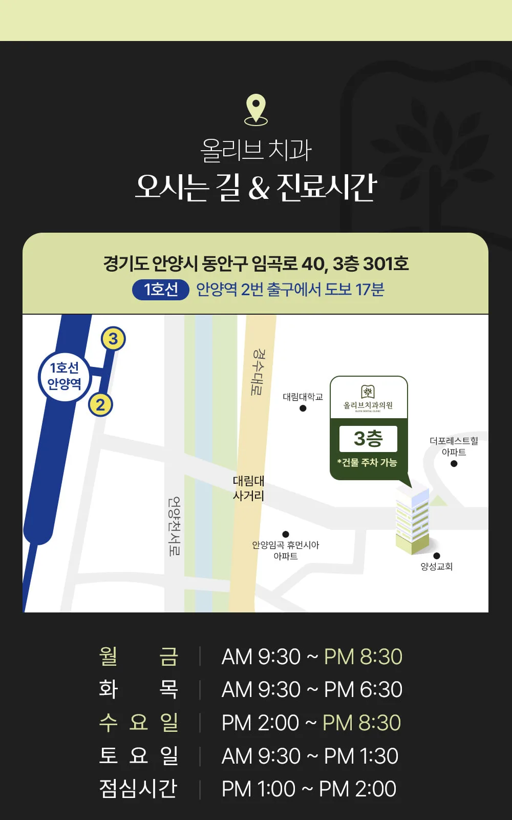 시술 상세 13