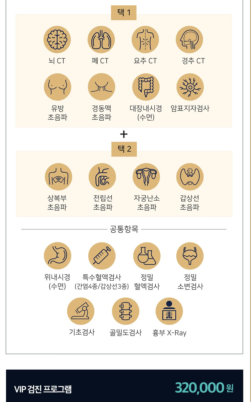 시술 상세 2