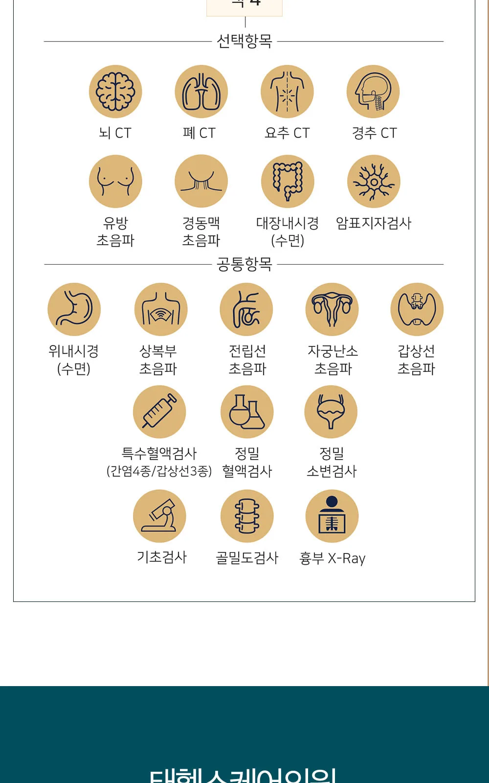 시술 상세 4
