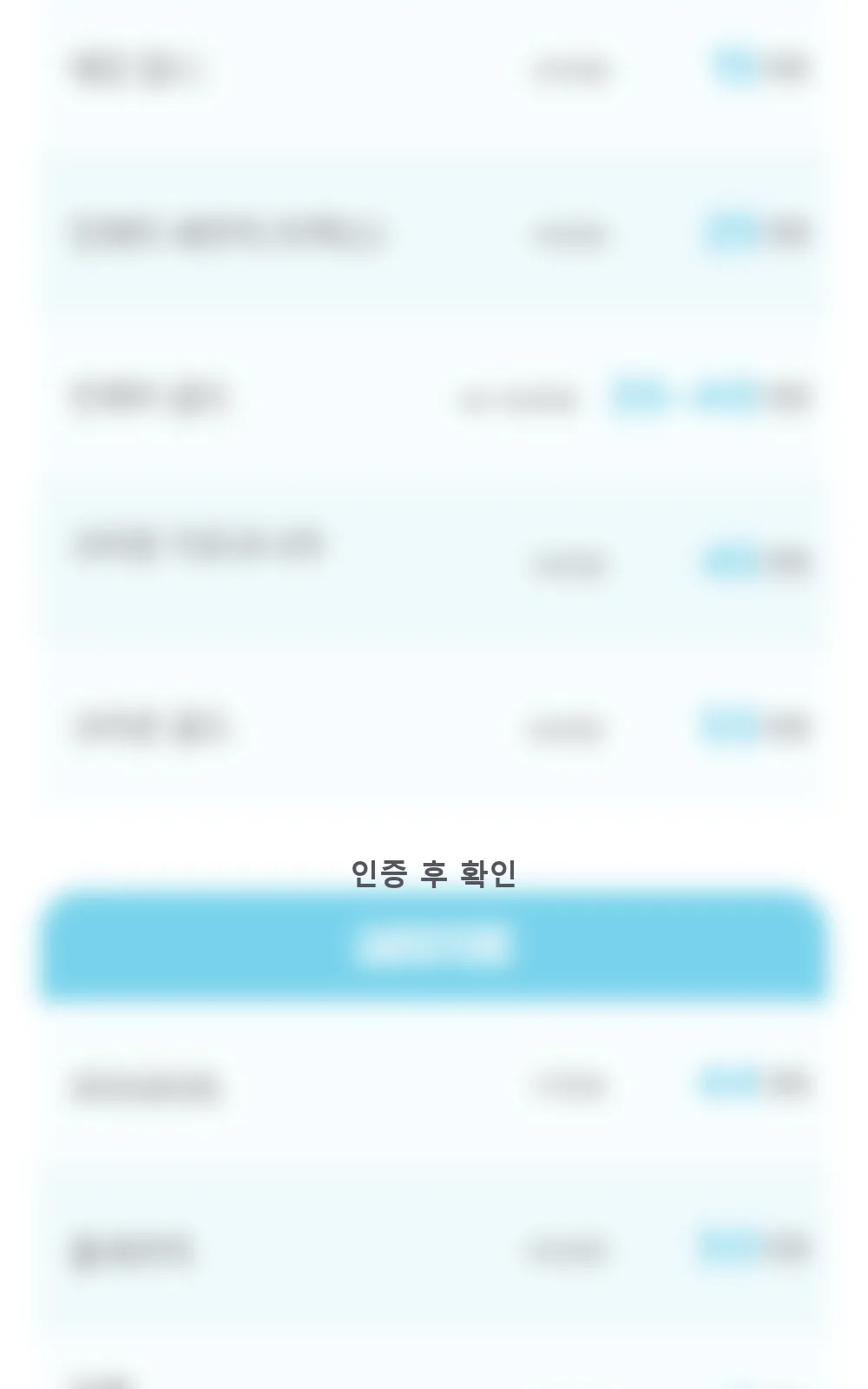 시술 상세 4