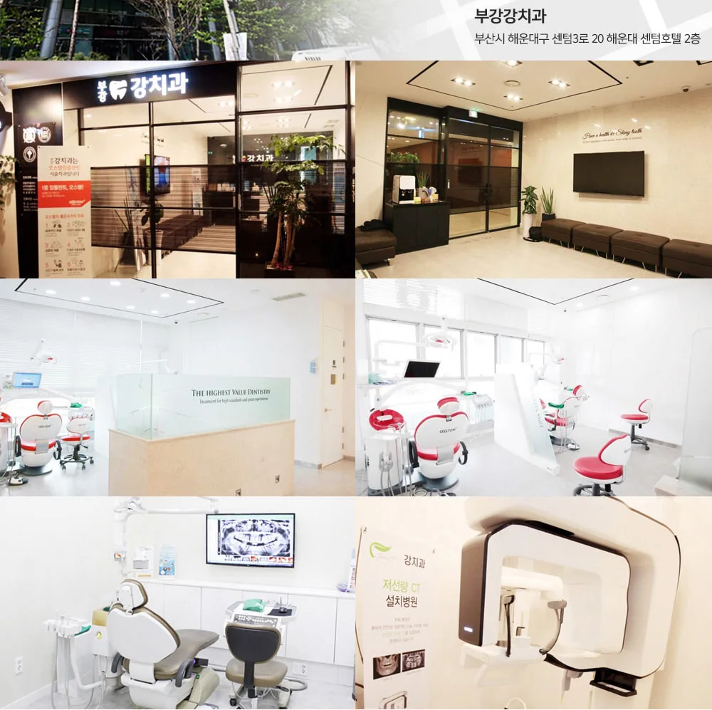 시술 상세 6
