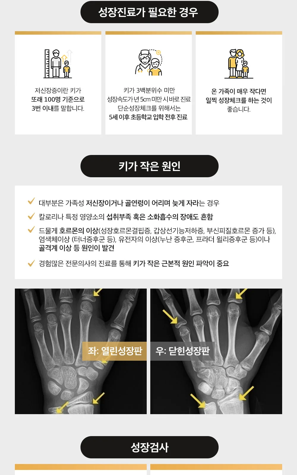 시술 상세 6