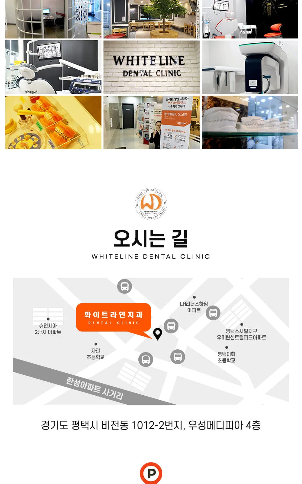 시술 상세 11