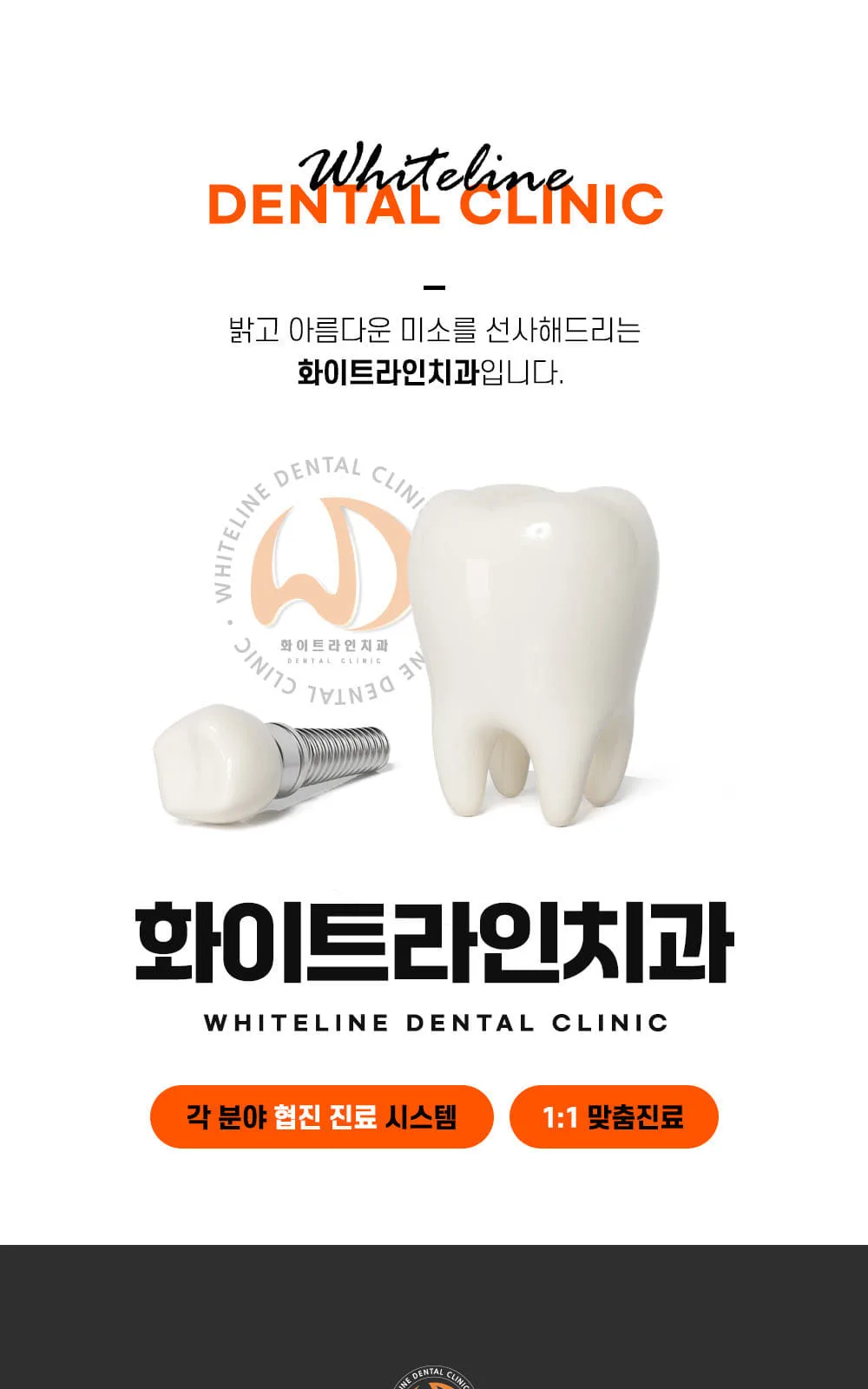 시술 상세 1
