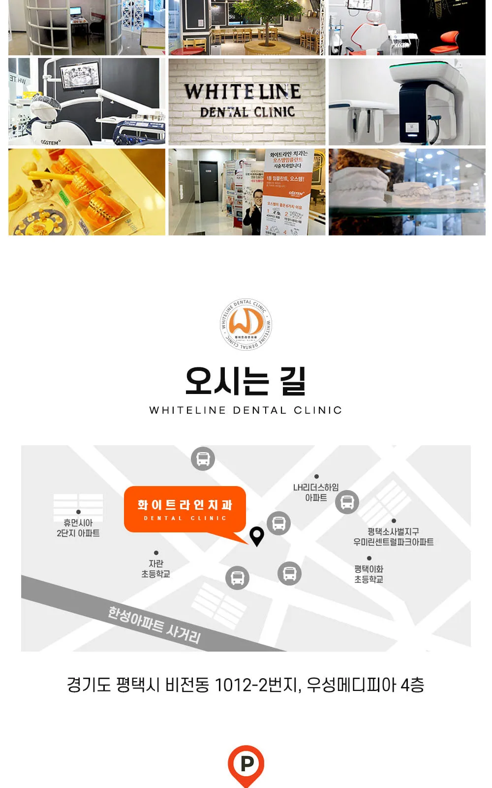 시술 상세 17