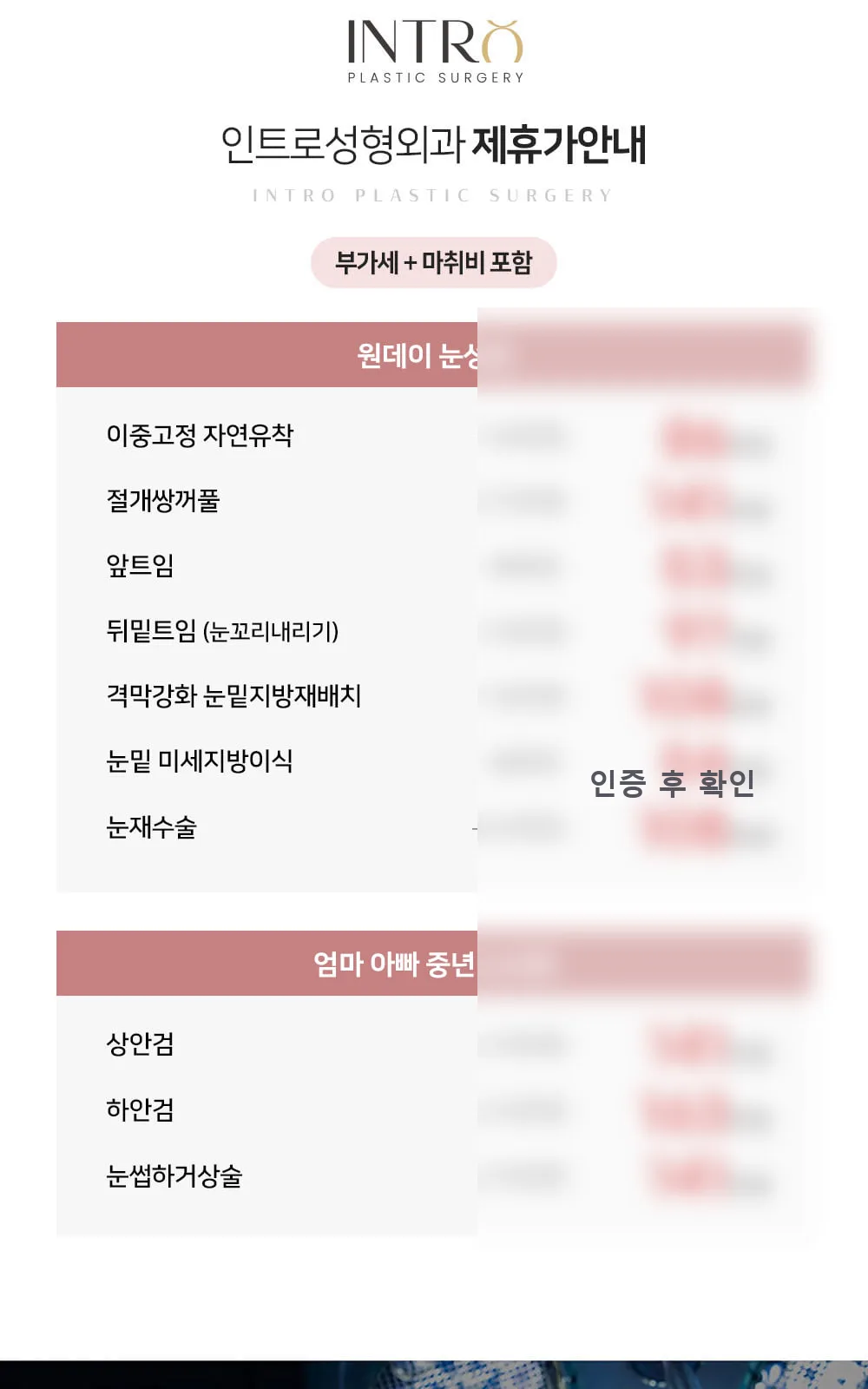 시술 상세 2
