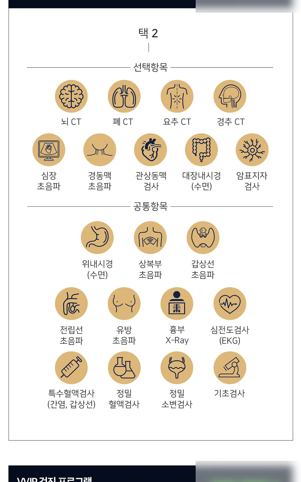 시술 상세 2