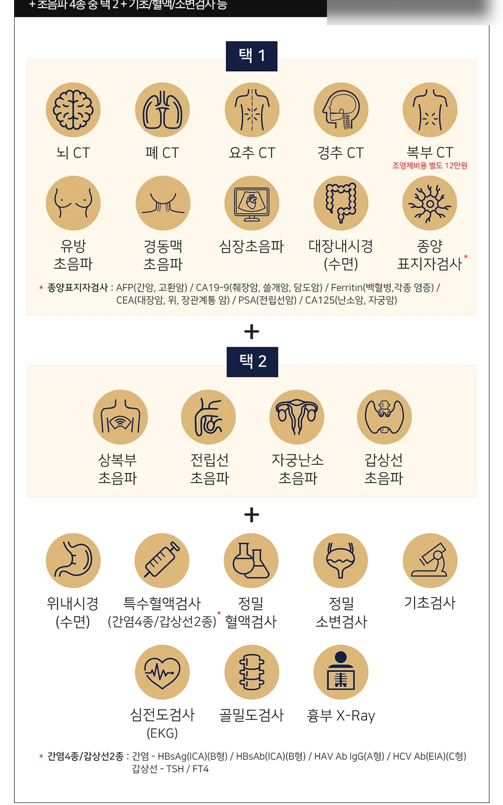 시술 상세 2
