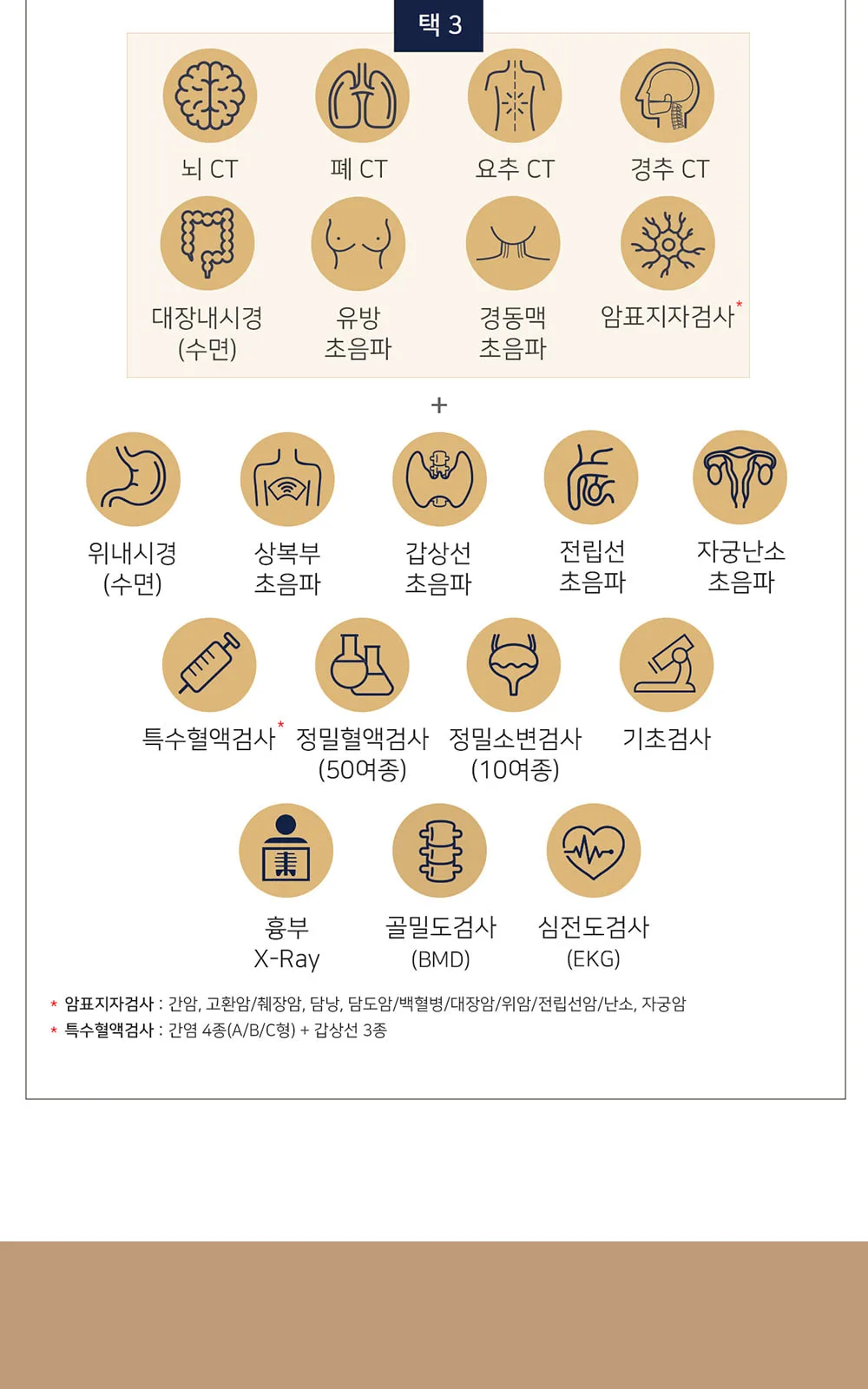 시술 상세 4