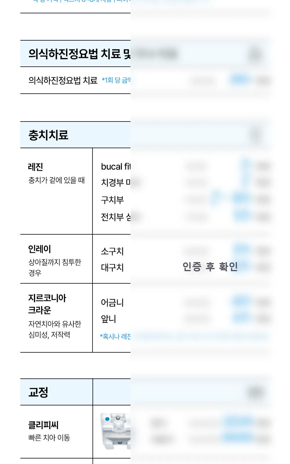 시술 상세 5