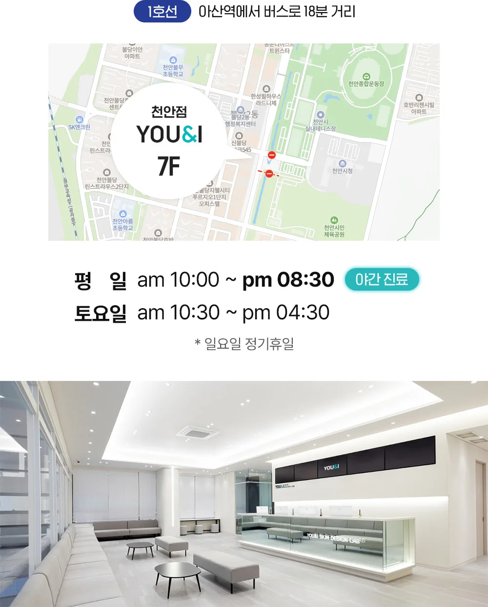 시술 상세 2