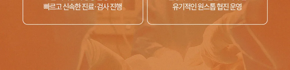 시술 상세 3