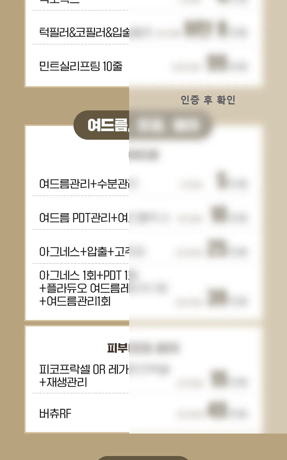 시술 상세 5