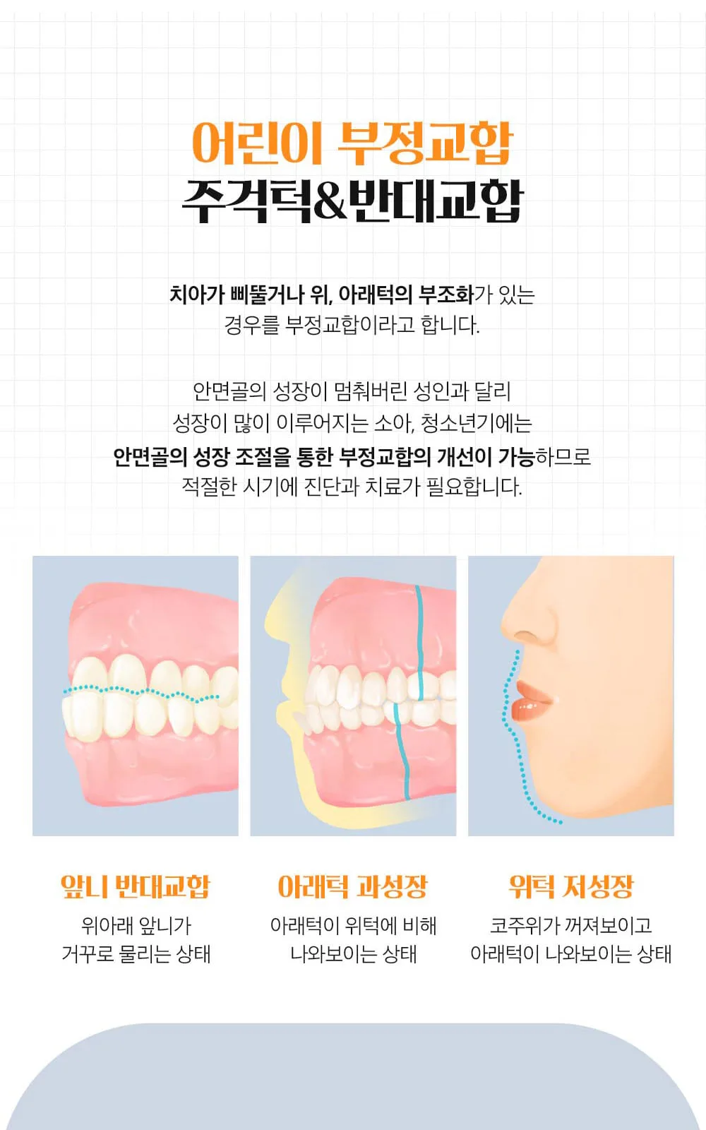 시술 상세 5