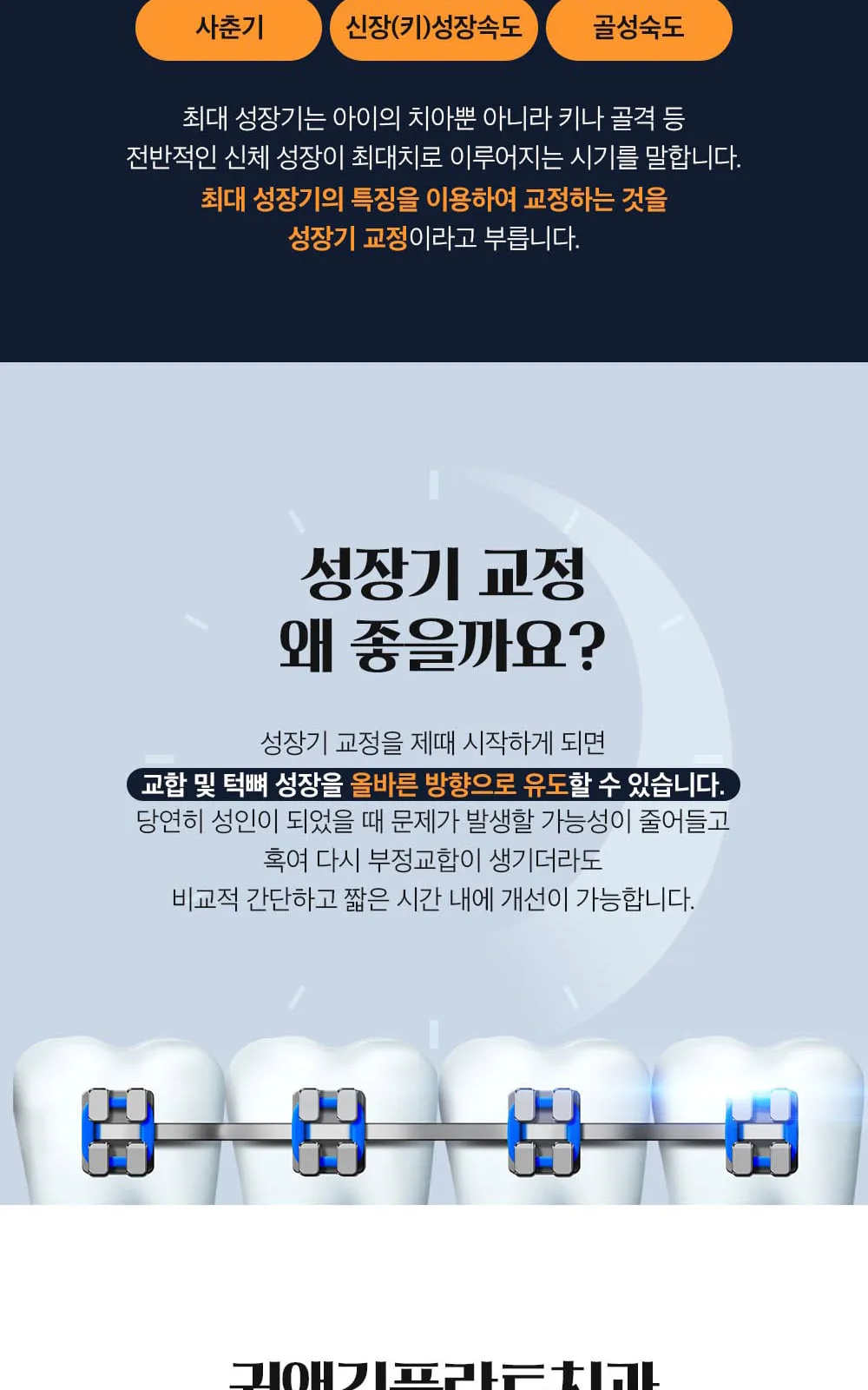 시술 상세 8