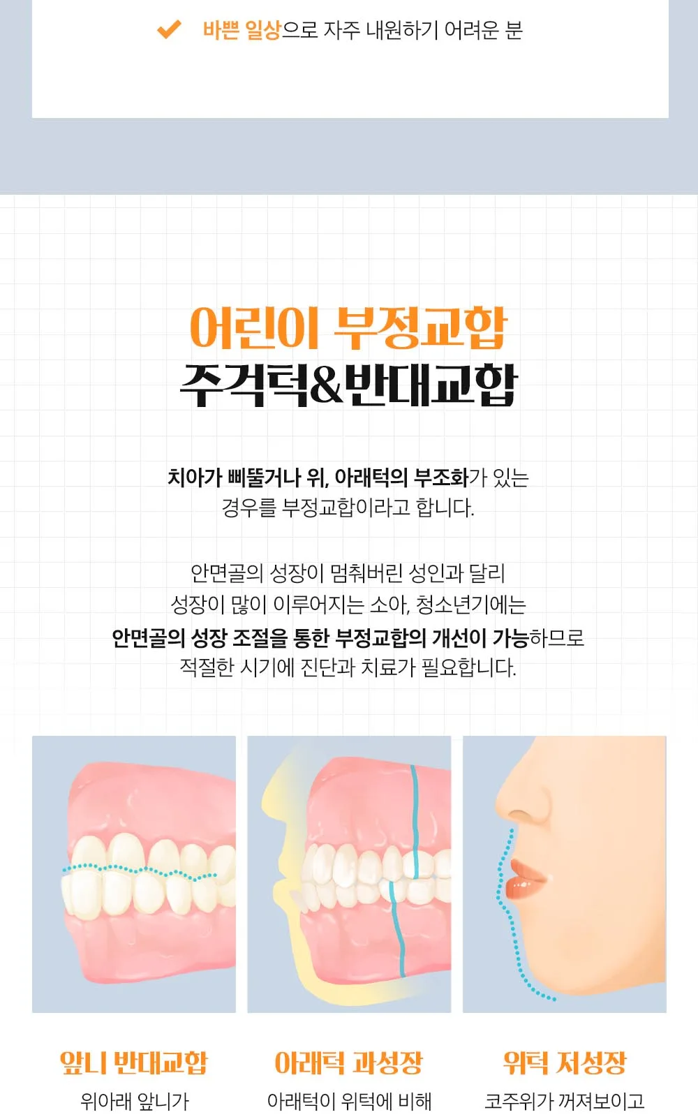 시술 상세 13