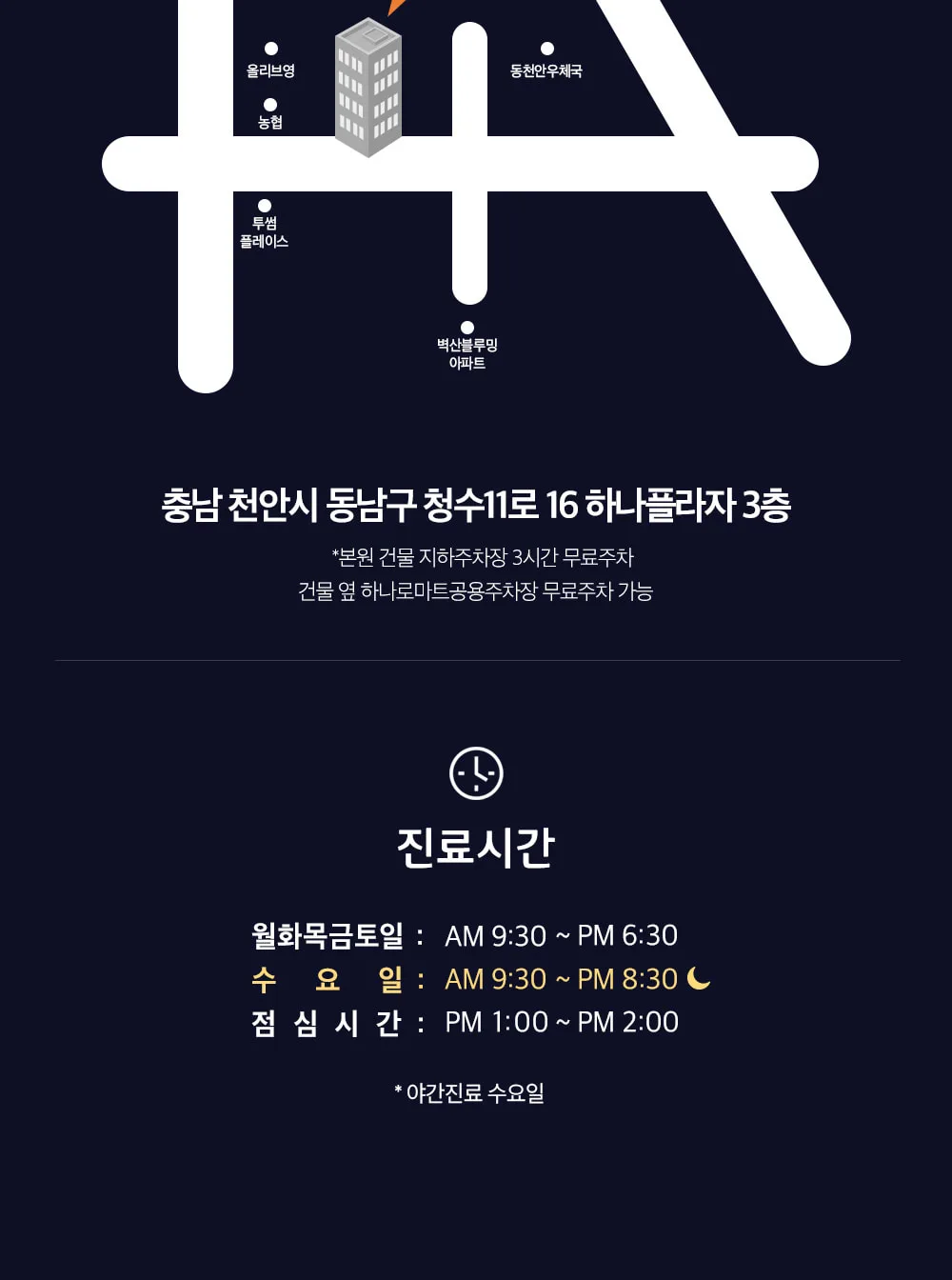 시술 상세 10