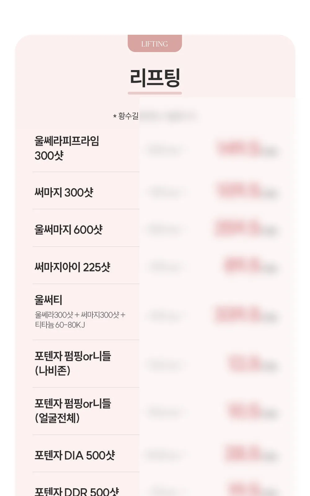 시술 상세 3