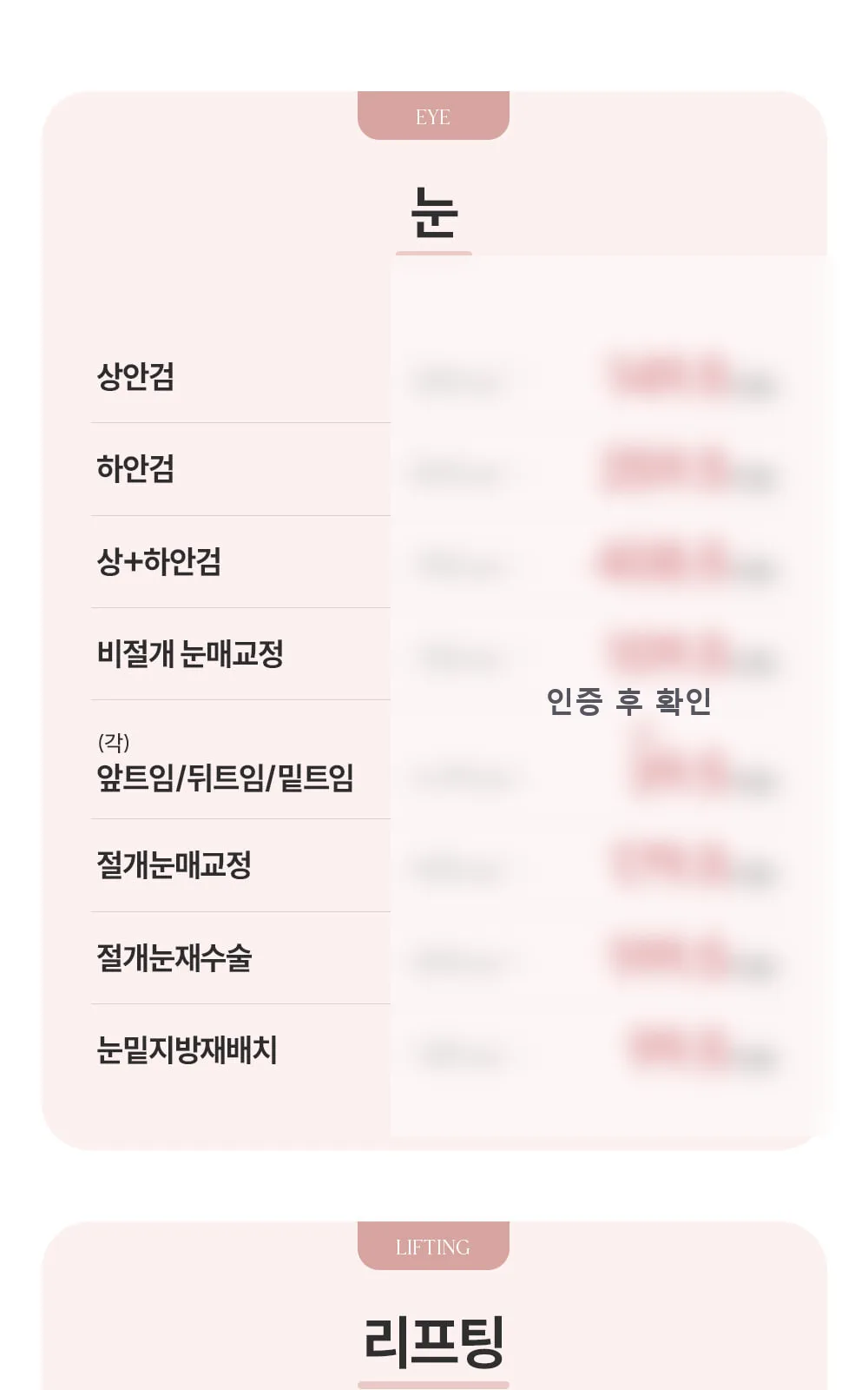 시술 상세 3